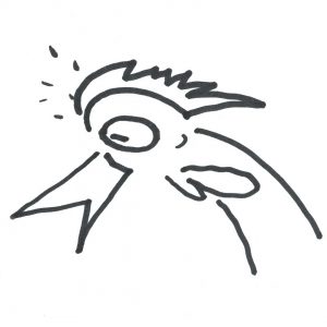 Marlies Kosubski: Hühner und Streithähne – Vogel 10