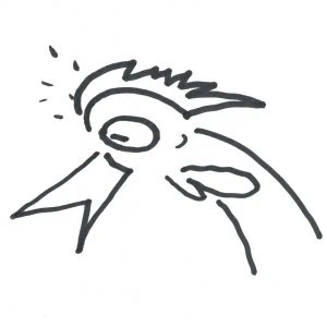 Marlies Kosubski: Hühner und Streithähne – Vogel 10