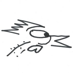 Marlies Kosubski: Hühner und Streithähne – Vogel 11