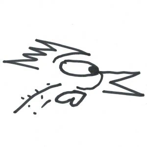 Marlies Kosubski: Hühner und Streithähne – Vogel 11