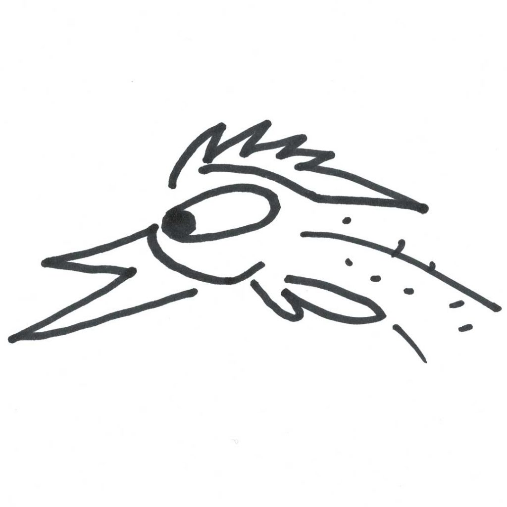 Marlies Kosubski: Hühner und Streithähne – Vogel 12