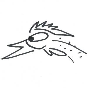 Marlies Kosubski: Hühner und Streithähne – Vogel 12