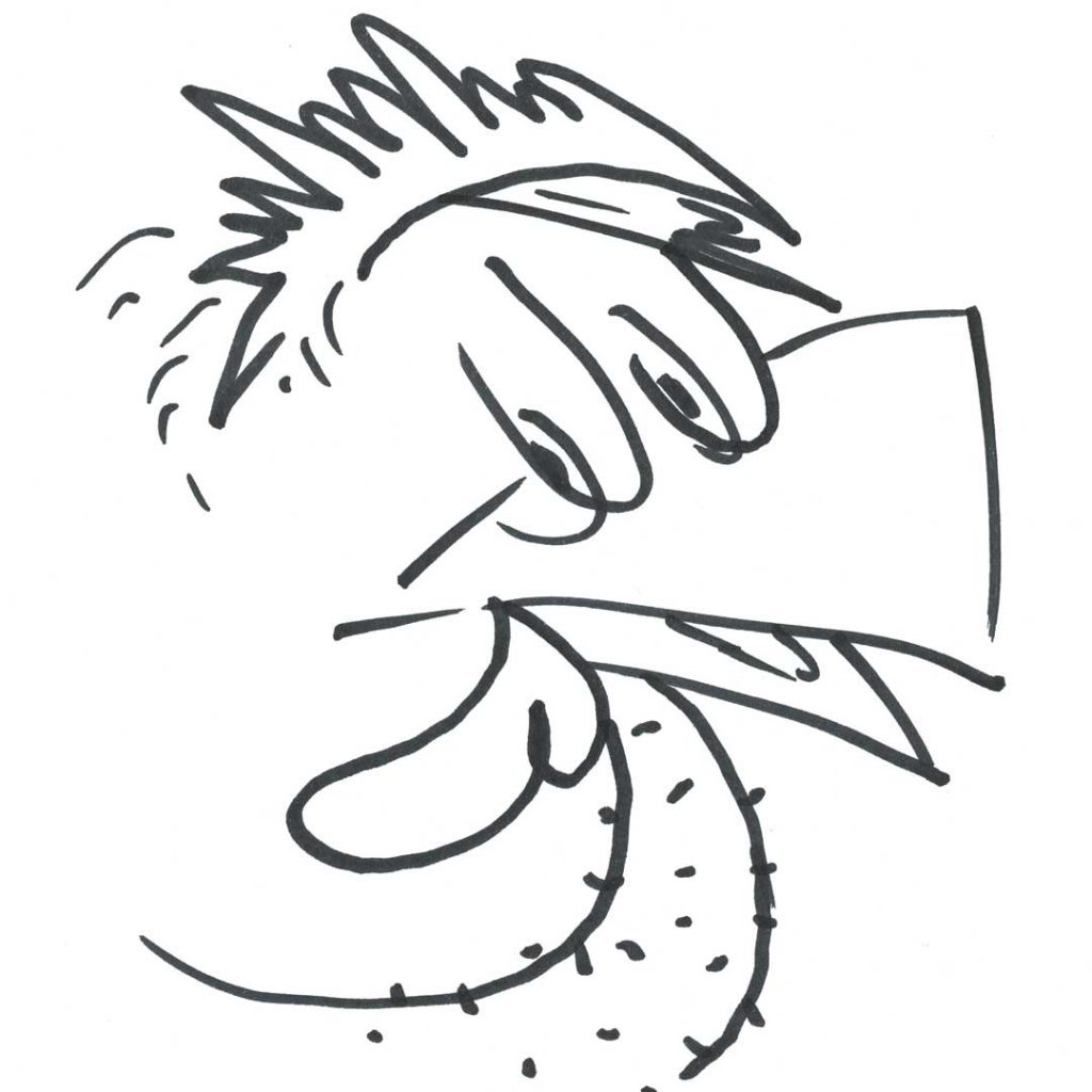 Marlies Kosubski: Hühner und Streithähne – Vogel 23