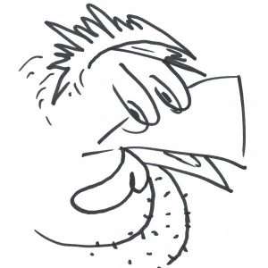 Marlies Kosubski: Hühner und Streithähne – Vogel 23