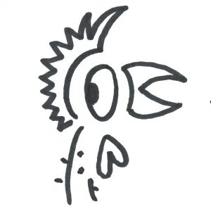 Marlies Kosubski: Hühner und Streithähne – Vogel 3